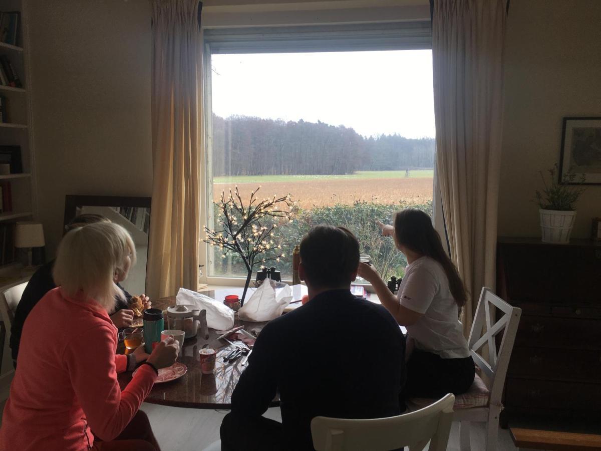 Budget-Unterkunft Im Wunderschonen Haus Mit Herrlichem Panoramablick Lüneburg Buitenkant foto